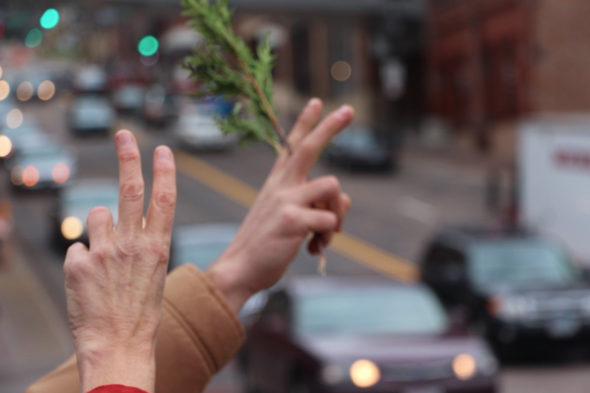 These are just of the few organizations that make our #Duluth community thrive! medium.com/duluth-now/gra… #Activism