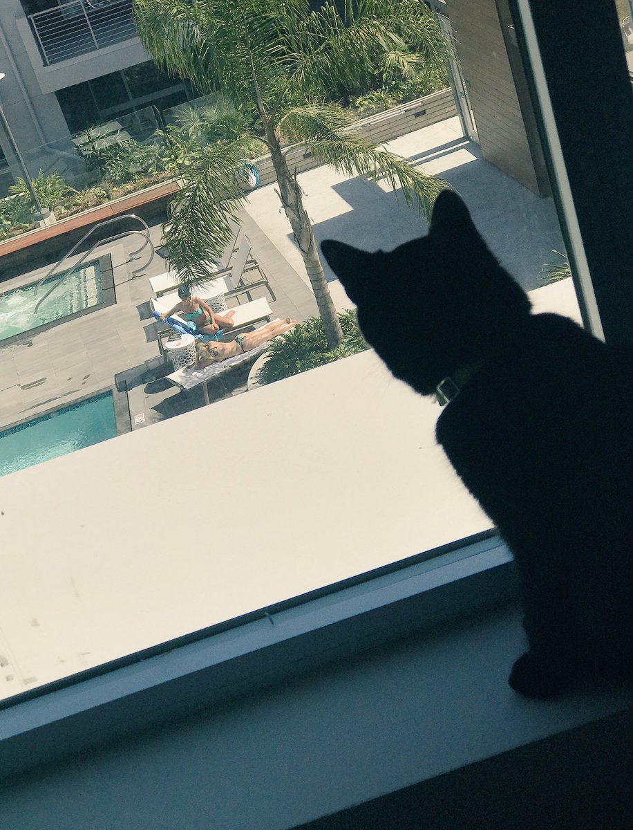 GermanGarmendia's tweet photo. Copito esta Stalkeando a las chicas en la piscina! 😂 https://t.co/4gveXuCenV