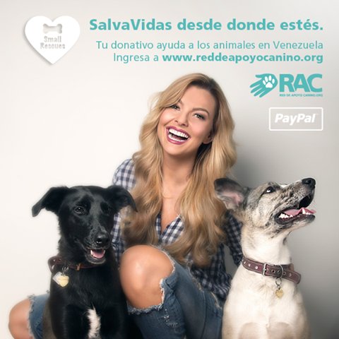 apoyocanino's tweet photo. Contamos contigo para seguir ayudando a los animales en #Venezuela. Si estás fuera, dona a través de #PayPal https://t.co/MCUL23qcso