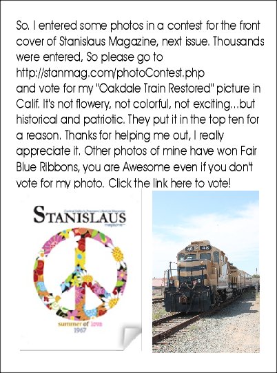 MarketTheNet's tweet image. My Photo is in the "Top 10", we are on the clock here friends, voting will end soon, please go to stanmag.com/photoContest.p… … and vote