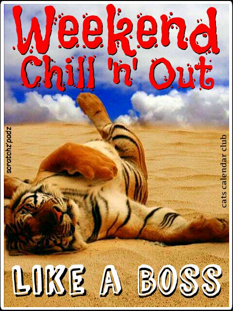 ScratchzPadz's tweet photo. #pixlr #scratchzpadz #catscalendarclub #weekendchillnoutlikeaboss #weekend #chillnout #likeaboss #weekendboss https://t.co/wygfos1Su0