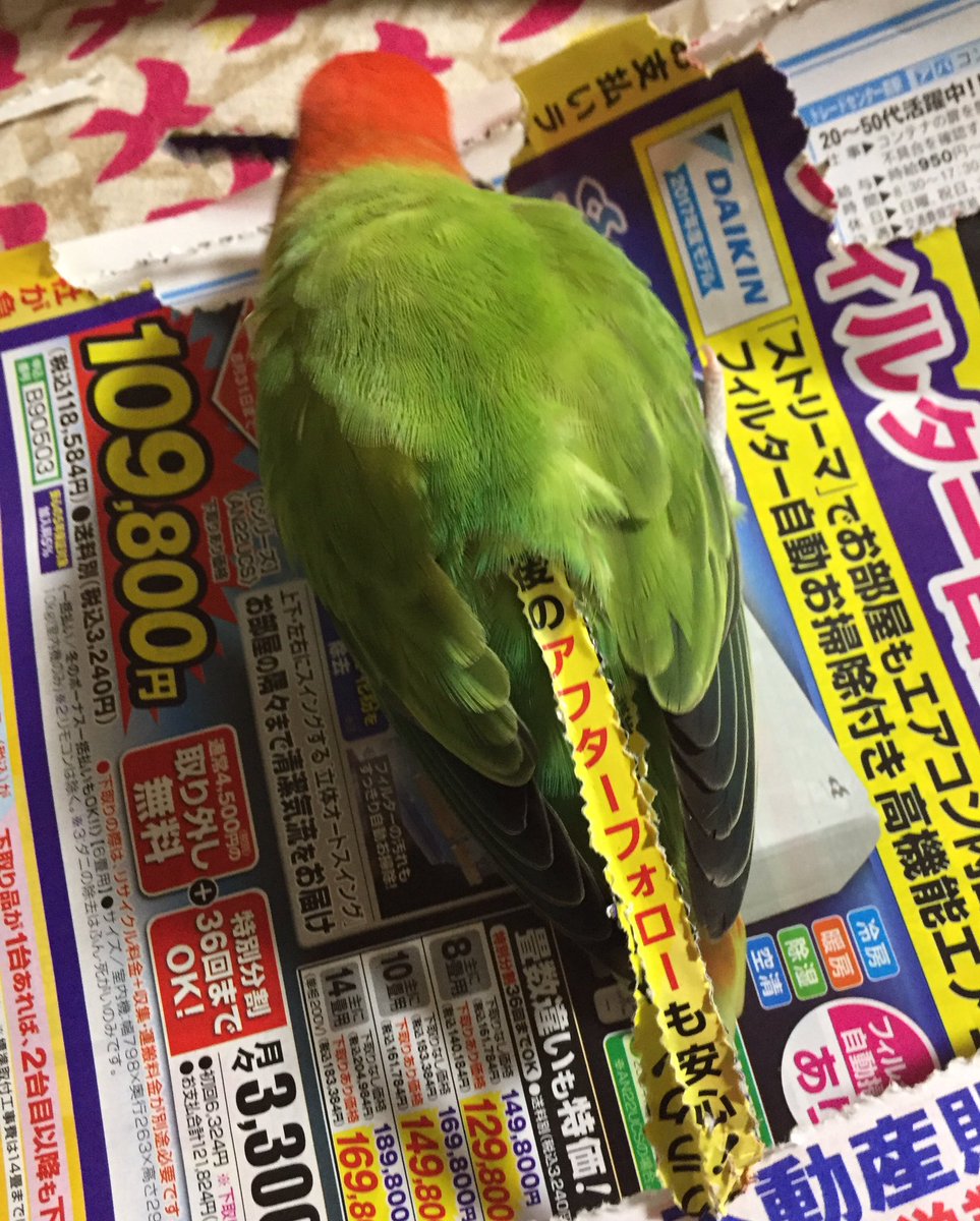 ochoko0925's tweet photo. アフターフォローも安心なおちょこ https://t.co/KdKh23CrLX