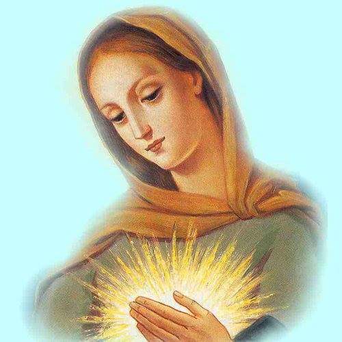 MI_IMMACULATA's tweet photo. +++ (3) #HAIL_MARY, » https://t.co/3gEDJ3A7NR