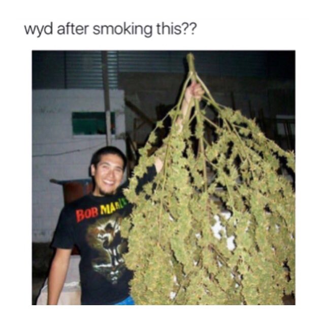 WORLDSTAR's tweet image. WYD?! 😳😂