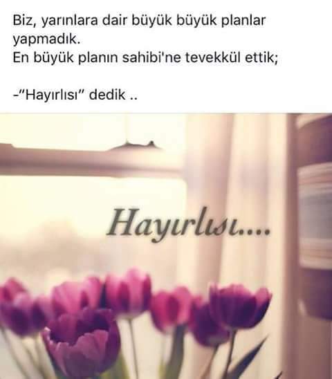 havva koyuncu (@havvakoyuncua) on Twitter photo 