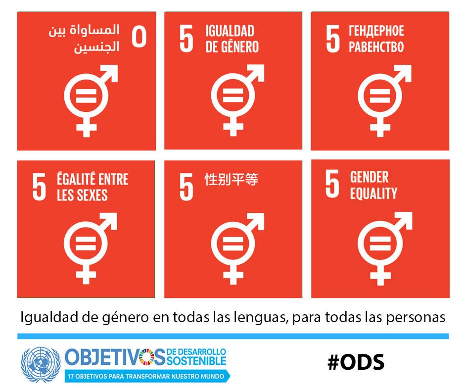 Para avanzar hacia sociedades justas, la igualdad de género es imprescindible: bit.ly/2uE5x6W