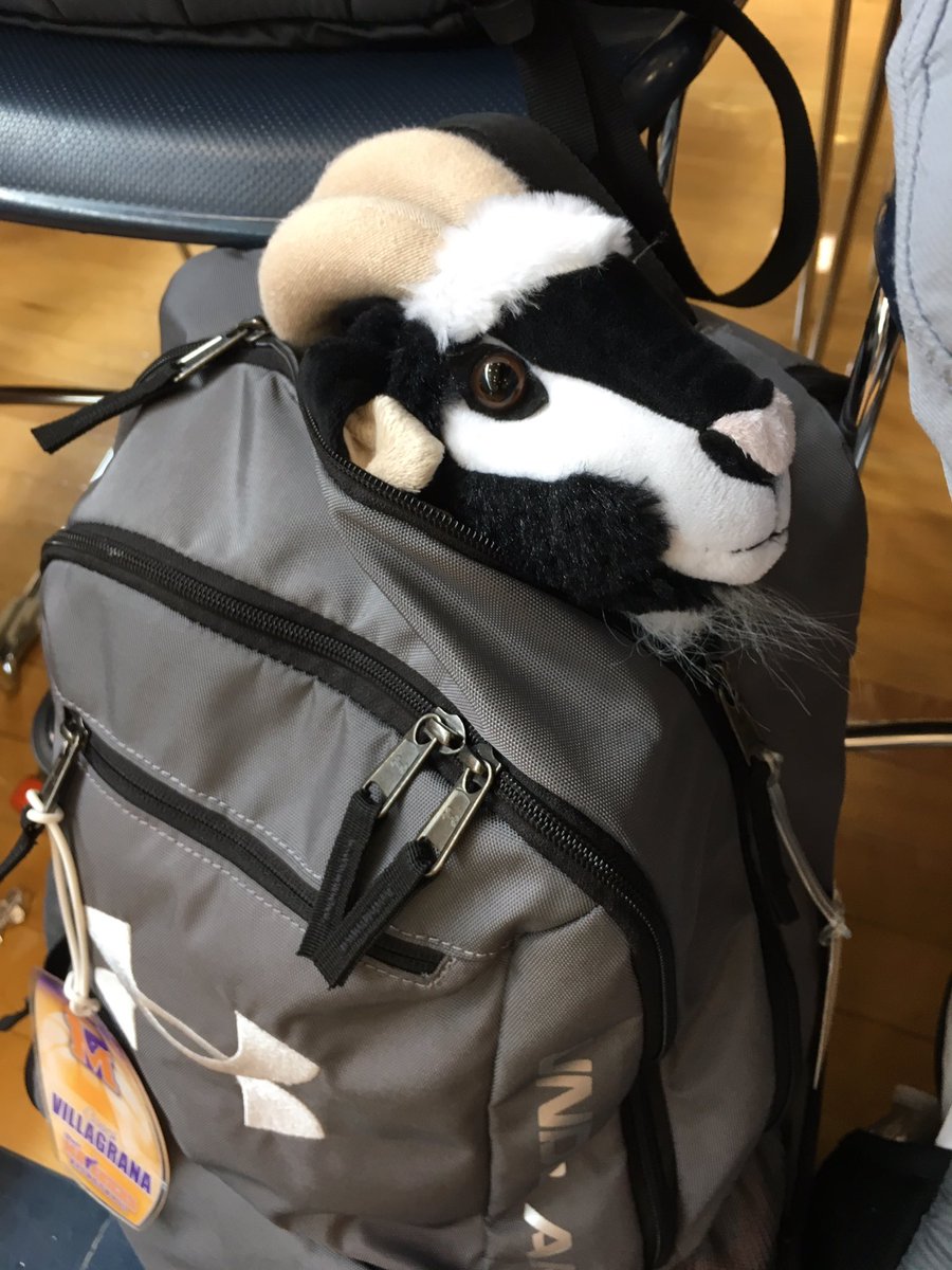 TacoTheGoat1's tweet photo. FYI Taco always refers to himself in the third person. https://t.co/aNVDmxO2aX