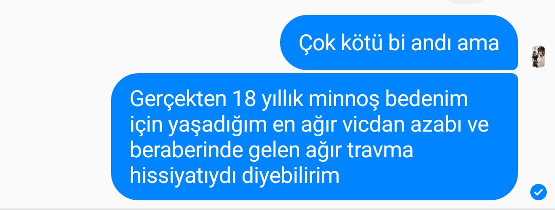 (SİNEK ÖLDÜRDÜ)