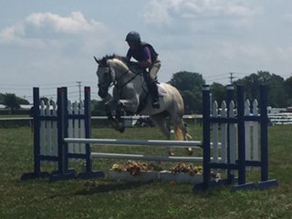 cousinssally's tweet photo. Carlos at Flora Lea #santana #deniroboots #invictusequestrian #nunnfinerproducts #teamcounty #nutrenafeed #revitavet #teamprofchoice https://t.co/yK25AqxIYs