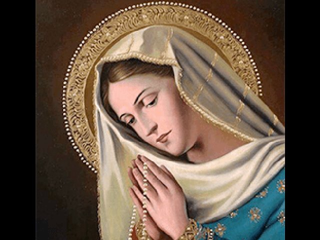MI_IMMACULATA's tweet photo. +++ (6) #HAIL_MARY, » https://t.co/unjcwxk1cx