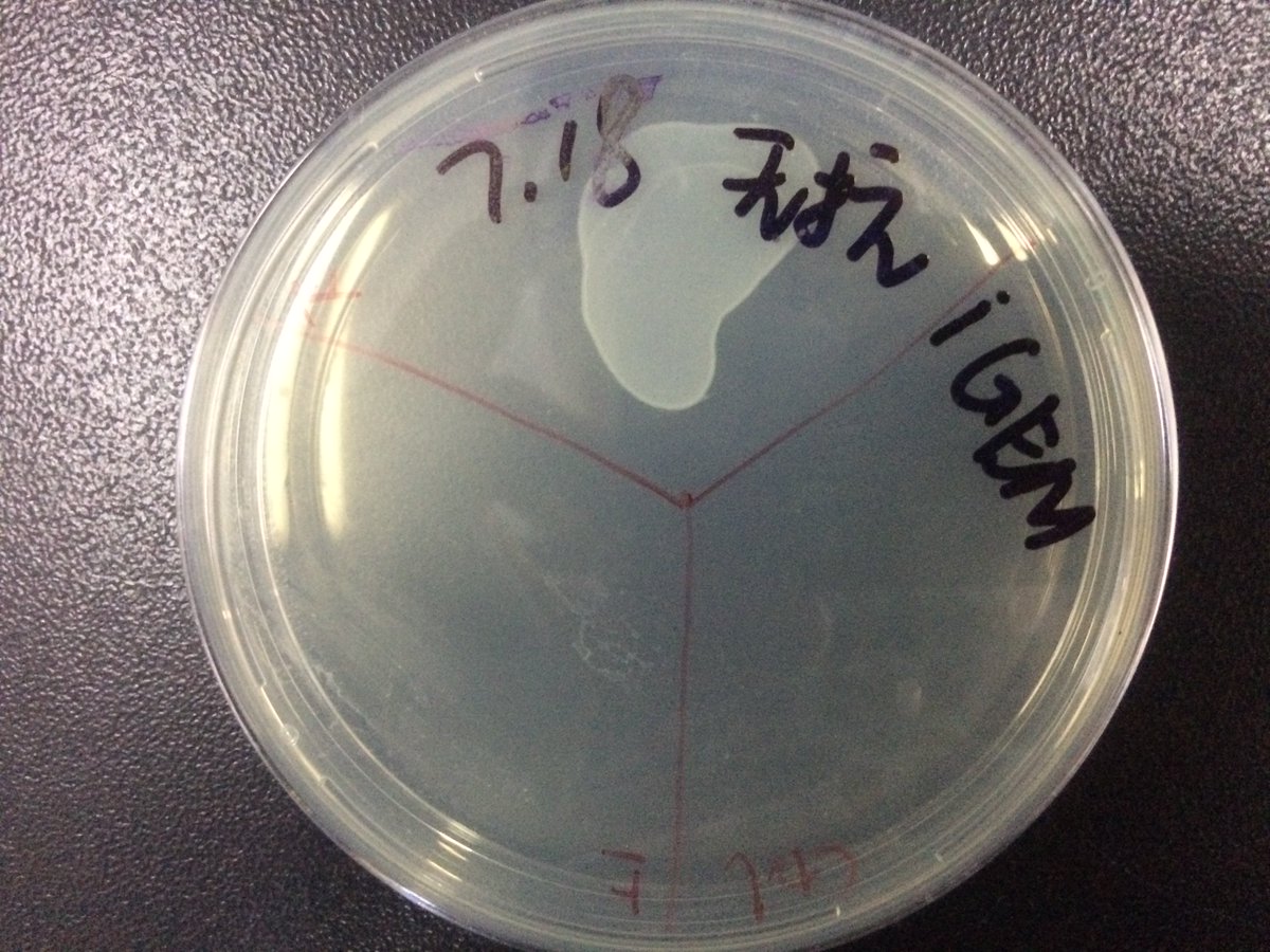 Working on Saturday!  And Wang was building our cool device...