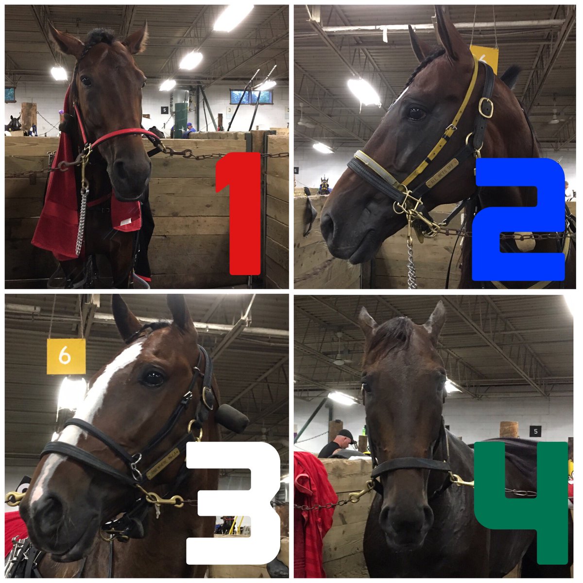 SaratogaCasino's tweet photo. Here's your field for tonight's #Gerrity:
1 Boston Red Rocks
2 All Bets Off
3 Somewhere In L A
4 Sintra https://t.co/fSZWCJP3bJ