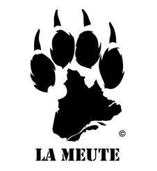 whimgrrl's tweet photo. The wannabe gang 'Soldiers of Odin' and Quebec group 'La Muete' (wolfpack) #fashcards https://t.co/qyNOJS1JtQ