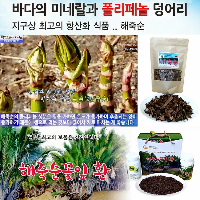 [해죽순꽃잎환]♥♥바다의 미네랄과 폴리페놀 덩어리 지구상 최고의 항산화 식품. 천연 항염제 해죽순!!  홈페이지: foxmarketer.cafe24.com