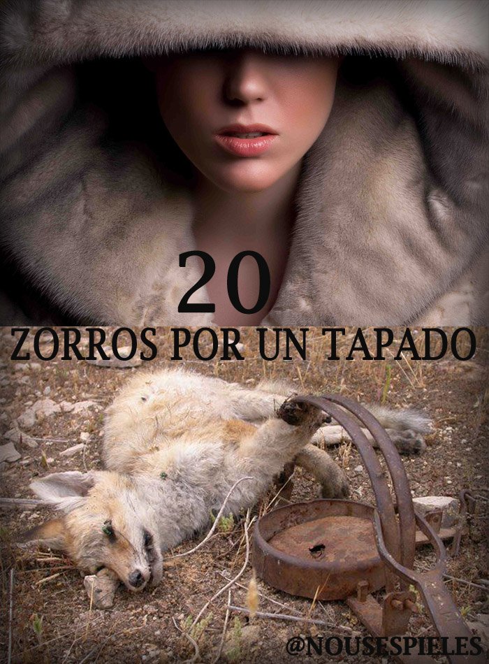 NoUsesPieles's tweet photo. VOS podes vivir sin ese tapado de piel, ellos no pueden vivir sin su propia piel ! 
#NoUsesPieles https://t.co/CD2h3paLh3