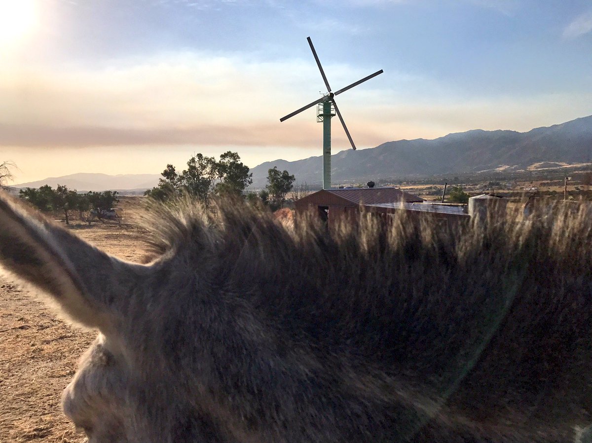 thenewkrystal's tweet image. Harry &amp;amp; I have been watching #LostFire fill the sky with smoke for an hour. Fingers &amp;amp; hooves crossed for calm winds &amp;amp; cool temps overnight.