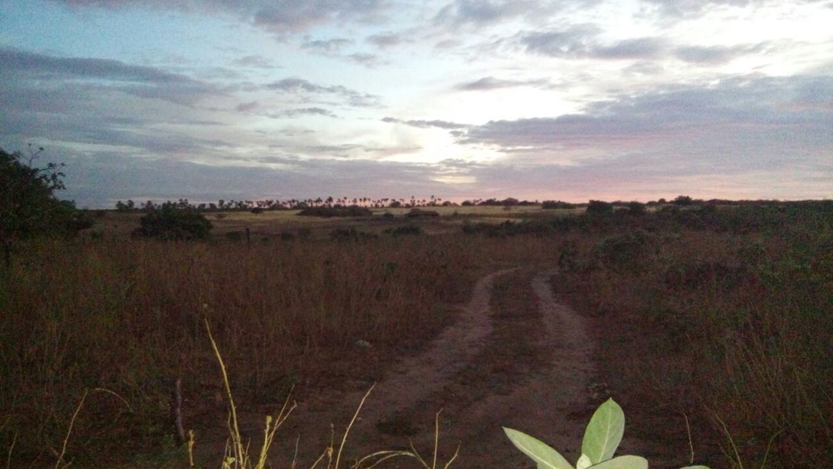 MenezesAdemar's tweet photo. A gente só faz o possível quando o impossível não é o nosso horizonte! https://t.co/nfB8H94Tww