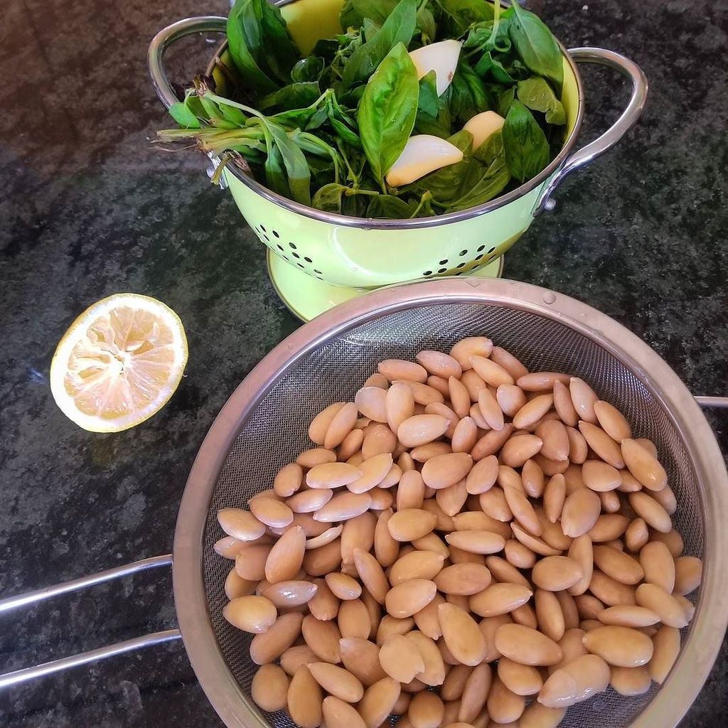 wineandshallots's tweet photo. Almond pesto: blanched and peeled almonds, basil, garlic, lemon and salt

Blend in food processor or blender. Add … https://t.co/JRTmEnttO5 https://t.co/3YSgdtFf48