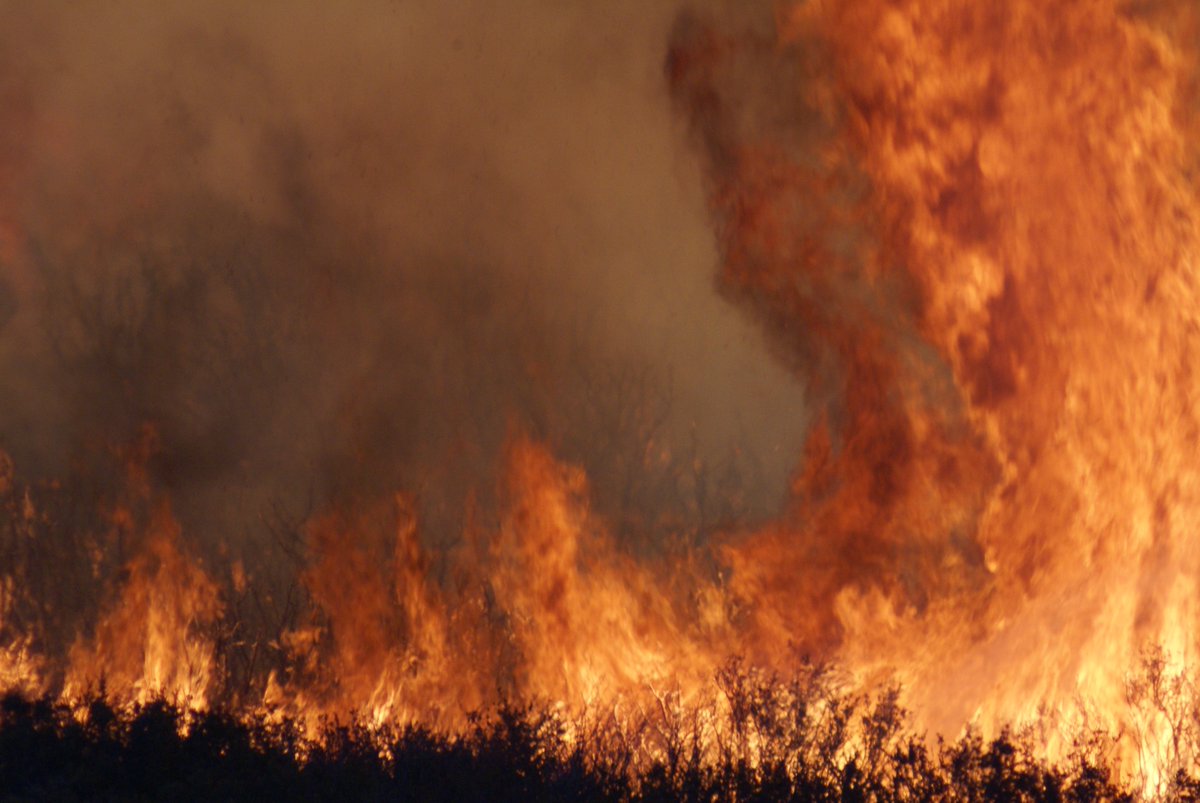 CALFIRESANDIEGO's tweet image. #LostFire [update] Fire is now 300 acres &amp;amp; 0% contained with no structures threatened; Unified Command w/USFS @ClevelandNF