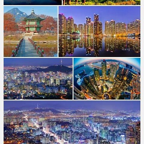 ♦♣Shin Dong Hae♦♣ tweet media