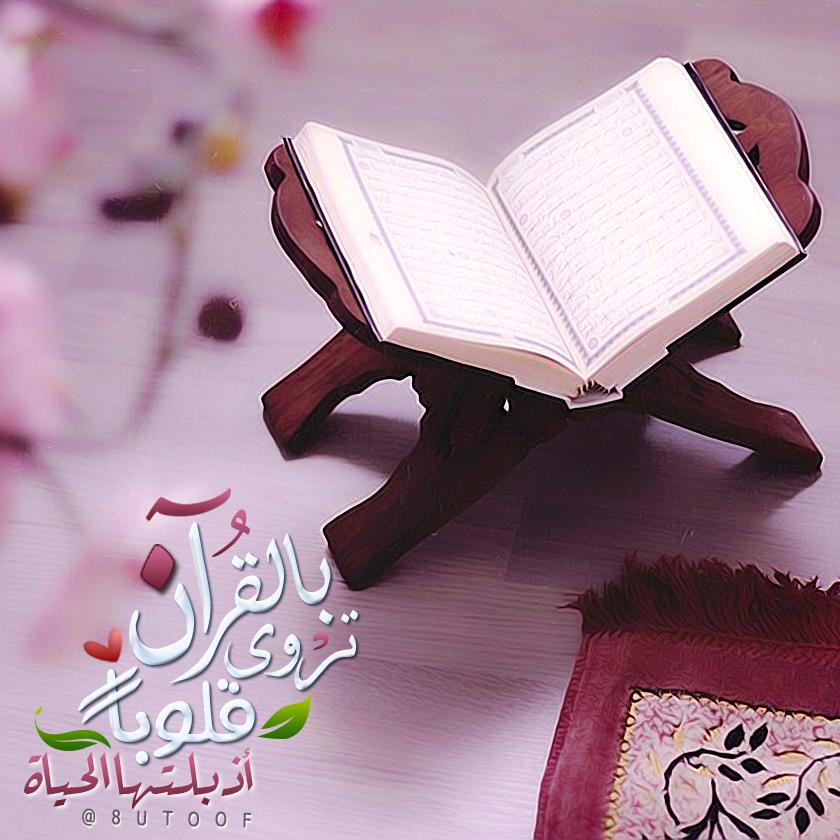 #رَفــْد 🕊 Rafd tweet media