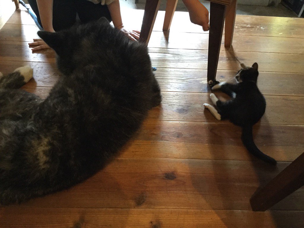 お客さん、接待中。