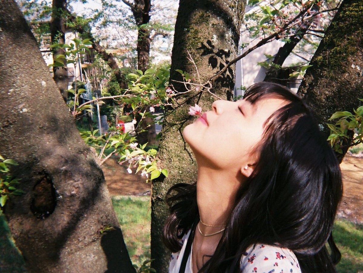 suzukimiu_0414's tweet photo. お姉ちゃんが写ルンですを現像してきたっぽくて春の写真、今送ってくれた…😊笑 https://t.co/nJzI6rWYY5