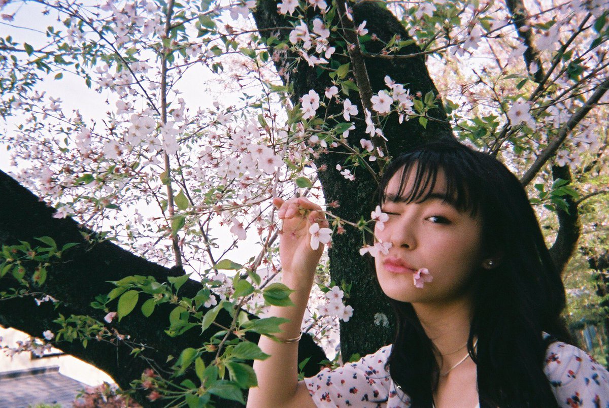 suzukimiu_0414's tweet photo. お姉ちゃんが写ルンですを現像してきたっぽくて春の写真、今送ってくれた…😊笑 https://t.co/nJzI6rWYY5