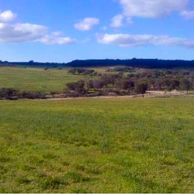NACC_NRM's tweet photo. #NACCnotes Case Study: Increasing Ground Cover and Protecting Bush https://t.co/zdebwlqtzo https://t.co/9Uf4Zg0njV