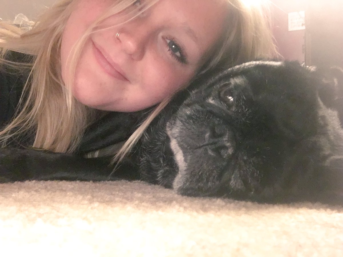badisontweets's tweet photo. i live for this shit #puggin https://t.co/qi19PO0tfy