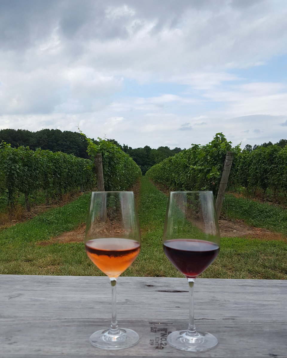 designwino_ohio's tweet photo. Went out for some #wine today! #ohiowine #ohiowines #markkovineyard #mcellars #genevaohio https://t.co/FwHCkRWEkh