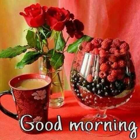rebsha's tweet photo. https://t.co/B9K9fKRInJ