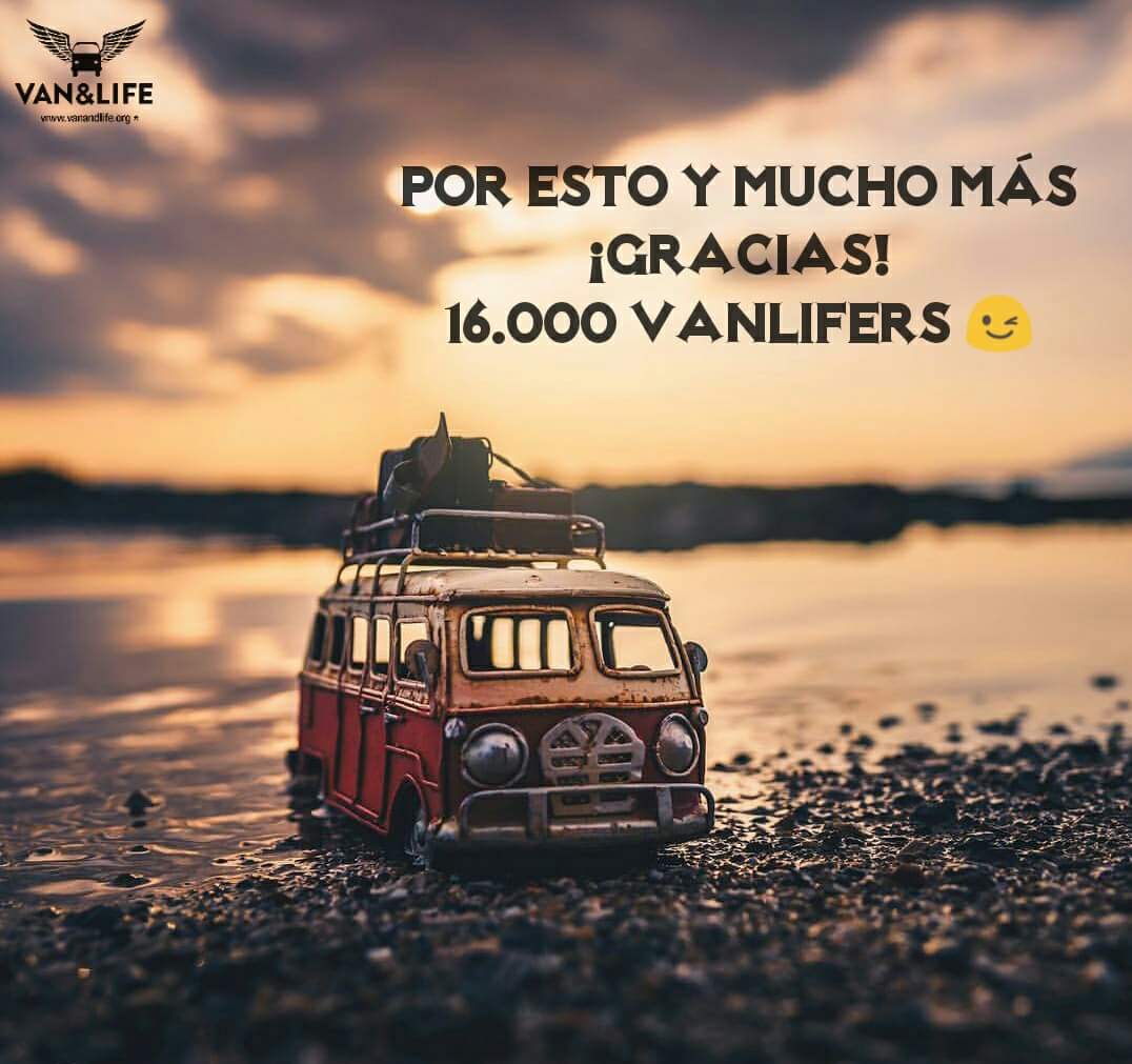 VanandLife's tweet photo. #vanandlife https://t.co/jIdotWXyuS