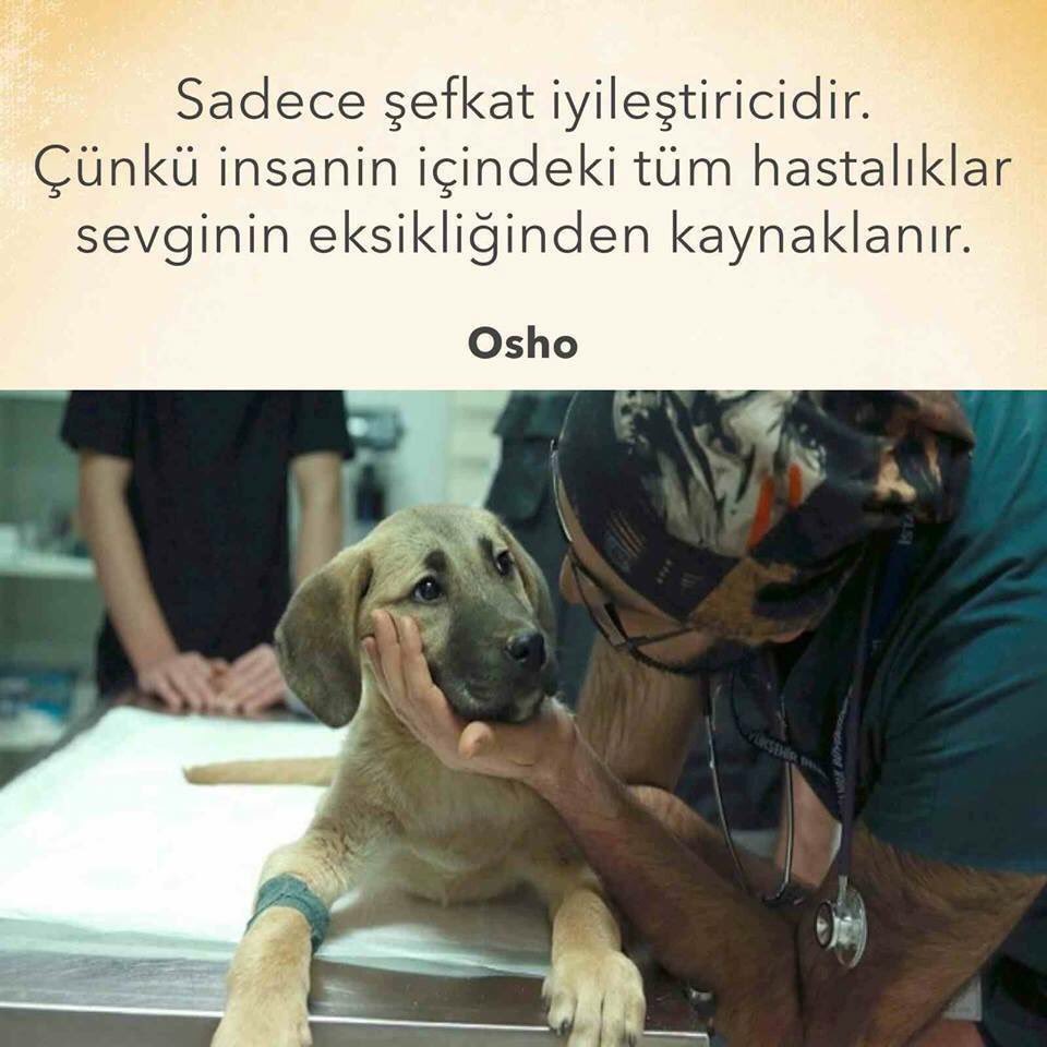 Sevgi dolu pazarlar..