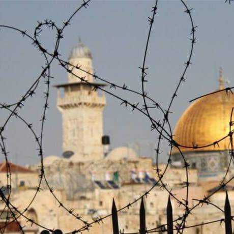 arfeen12786's tweet photo. #فلسطین پر اسرائیل کا مسلسل ظلم 
مسجد اقصی پر قبضہ 
#freeAqsa #FreeFalasteen https://t.co/f1a0wg62bg