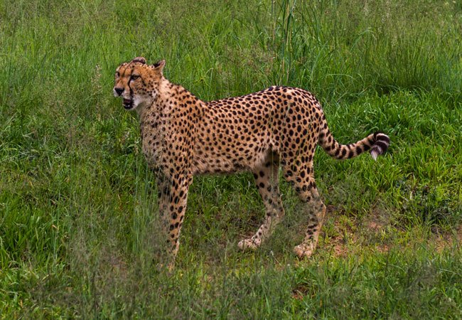 Tourism_gov_za's tweet photo. Discover the #NorthWest Province!!  https://t.co/U83Lpn6RMA https://t.co/jc4y1OhwBB