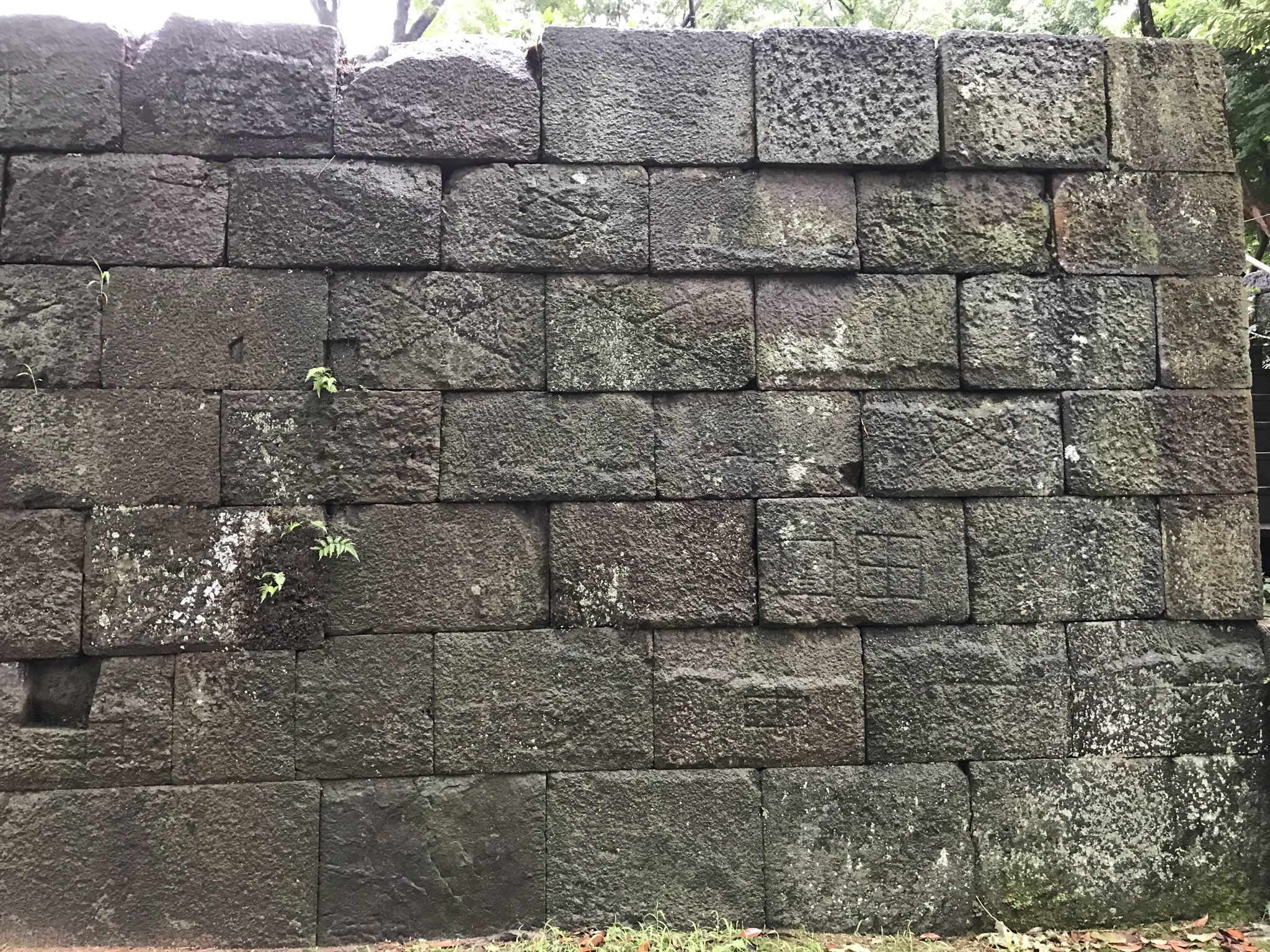 根付　城の石垣 日本100名城 - 白河小峰城