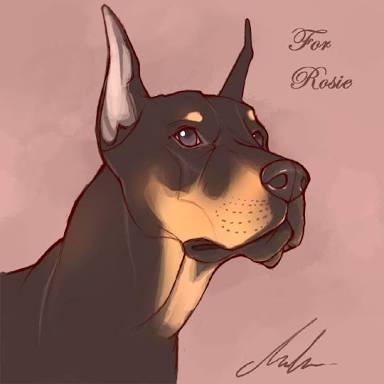 SnakeLady_'s tweet photo. Soy un perro bien entrenado para complacer a mis amas sin importar nada
freerol, bestiality, pokefilia
Rol: corto, medio
#EvilDogs #Freddy https://t.co/GZsecwXjqT