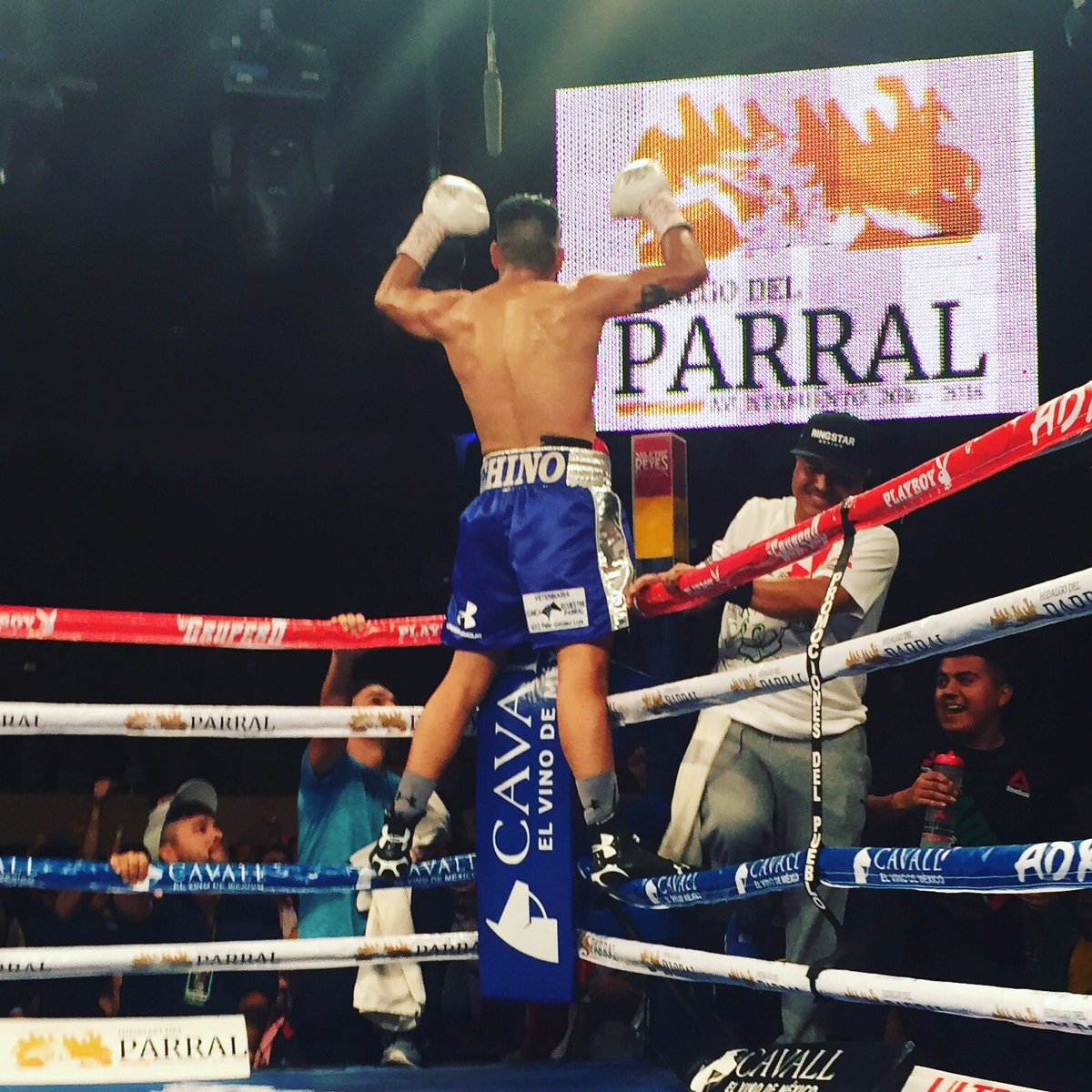 abnermares's tweet photo. @elchinono94 felicidades en tu Ko ..futuro campeón de Parral Chihuahua #TeamMares #Ringstarboxing @ringstar https://t.co/n7TvYFWOGP
