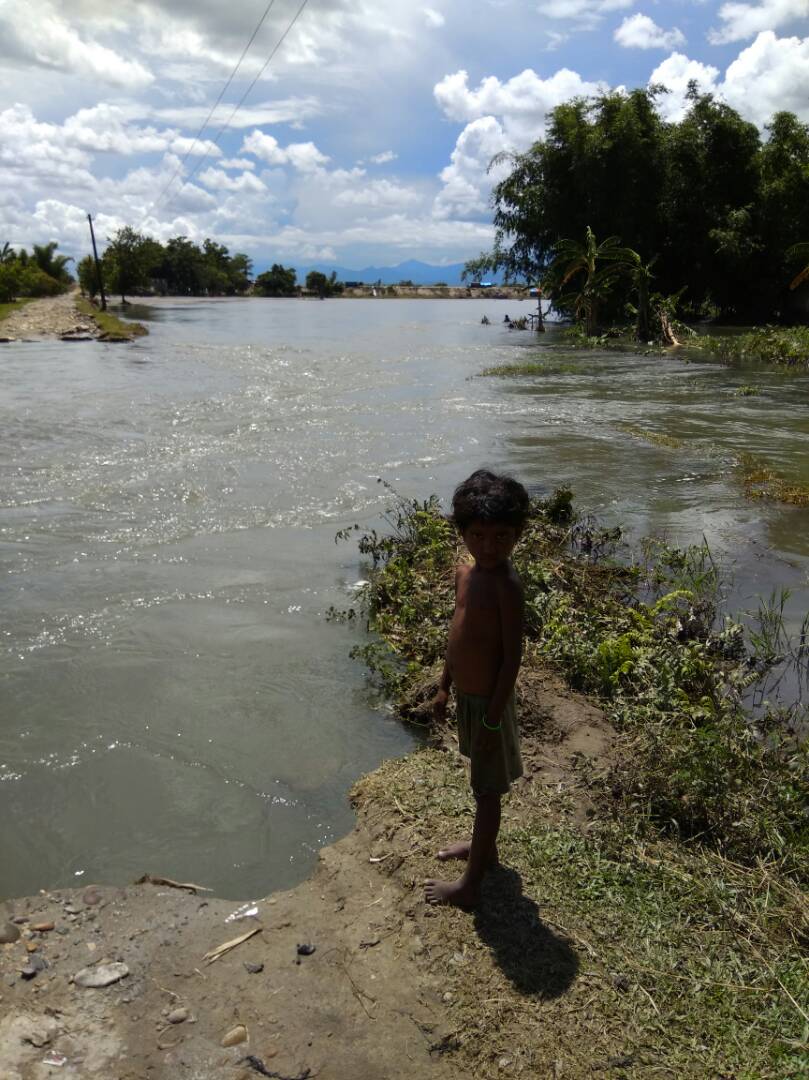 Arijit Raha tweet media