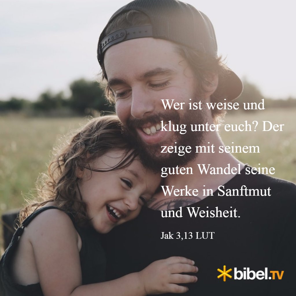 BibelTV's tweet photo. Zeige mit guten Werken Sanftmut und Weisheit! Jak 3,13 #bibelwort #bibelpur #scripturesnack #tagesvers #bibel #bibeltv https://t.co/NqT9bhFhEZ