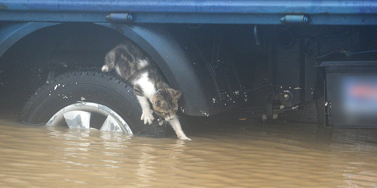 호우특보는 해제됐지만, 인천, 고양, 시흥 곳곳에 침수 피해가 남았다(상황 모음) huffp.st/ylEvYqd