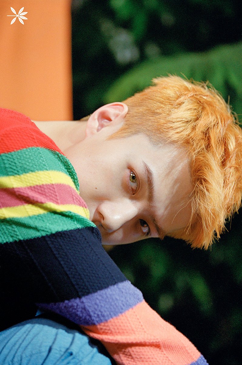 넥ㄱㄱ tweet media
