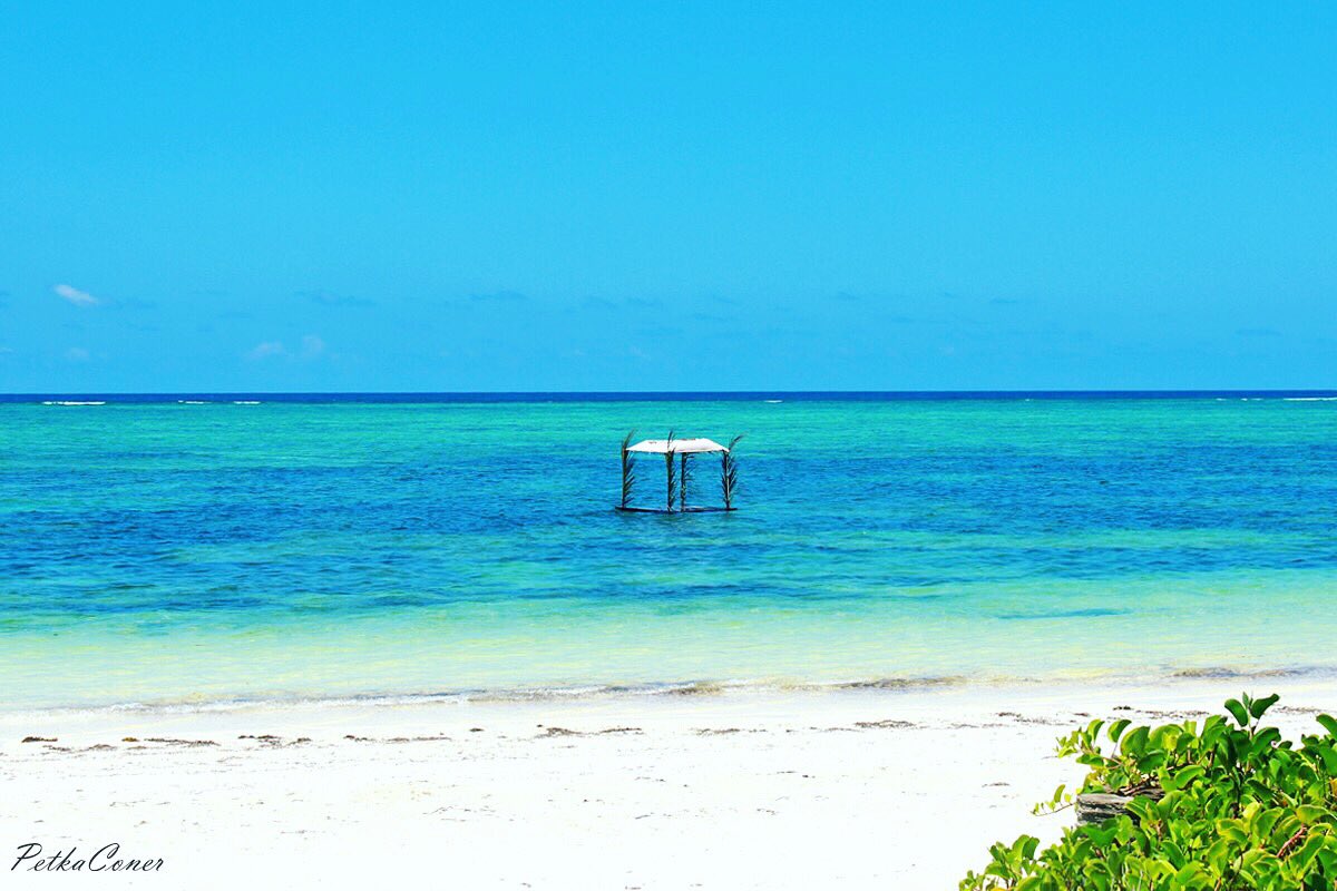 petkaconer's tweet photo. Have a lovely #sunday everyone 😊🌴 #zanzibar #africa #beach #sun #sea #relaxing #zanzibarcollection #travel #photographer #nature https://t.co/pdRfbjPMNi