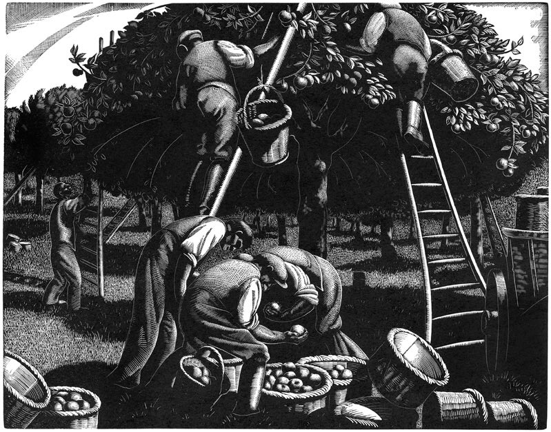 wrapcompany's tweet photo. Print of the Day: 'Apple Picking' by Clare Leighton #art #prntmaking https://t.co/Hcd54UHOTp
