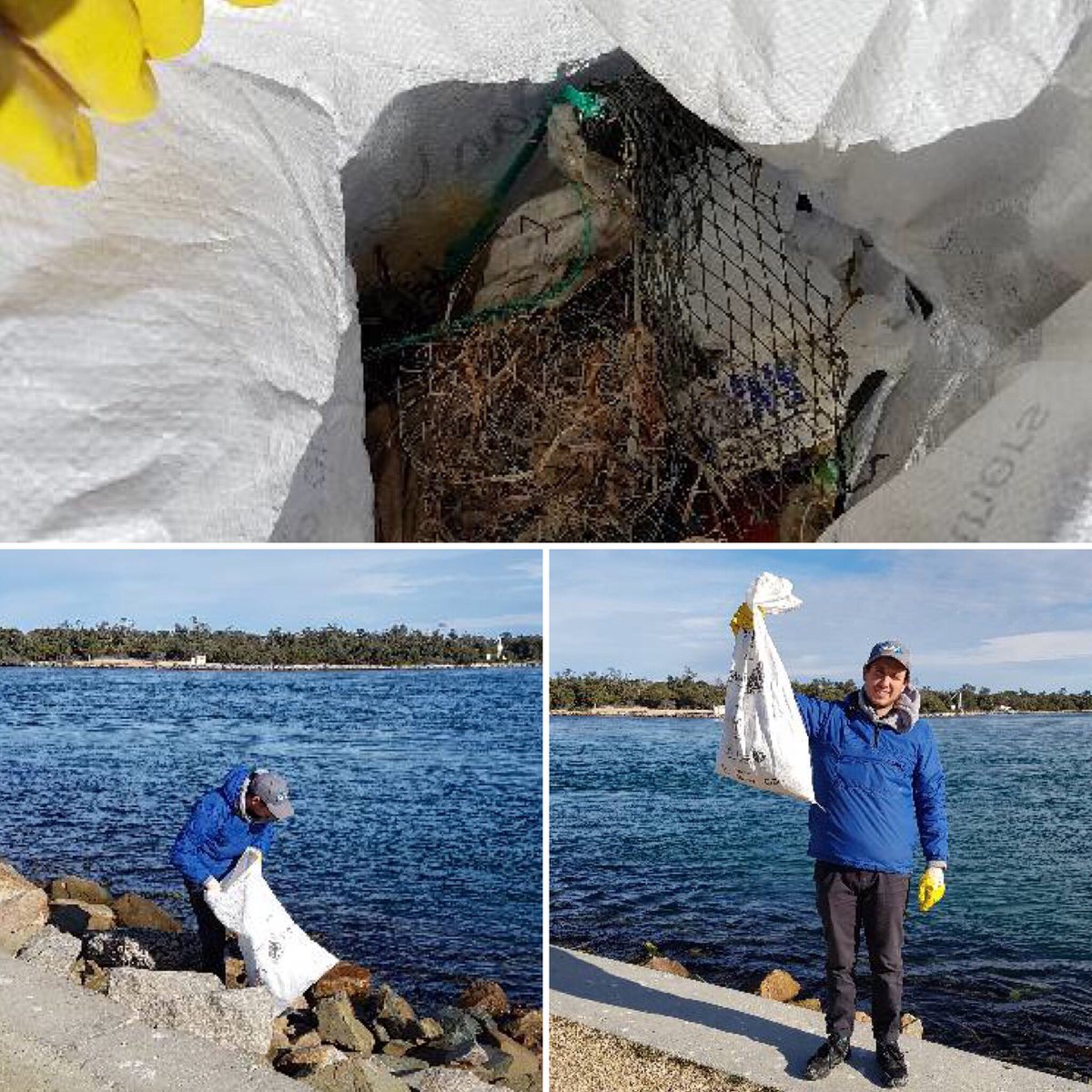 Our #dolphinresearch team did more than collect crucial data #cleanup #fishingwaste #litterfreelakes #plasticpollution