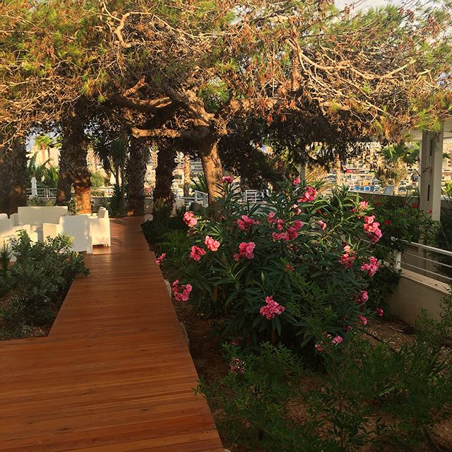 Every passage leads to a destination... all you need to do is start walking. 
#SaliniResort #Malta