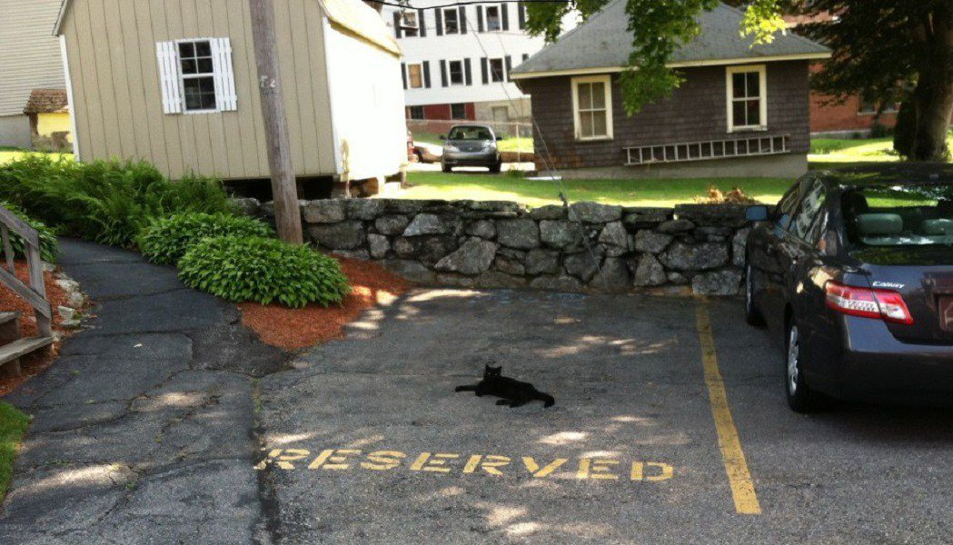 This compact black jaguar is parked illegally. A disgrace.