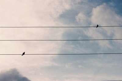 Seller and Buyer in the same #event ,but not able to meet. Try #HuntSuit to give them a chance to connect. #EventEngagement  #EventTech