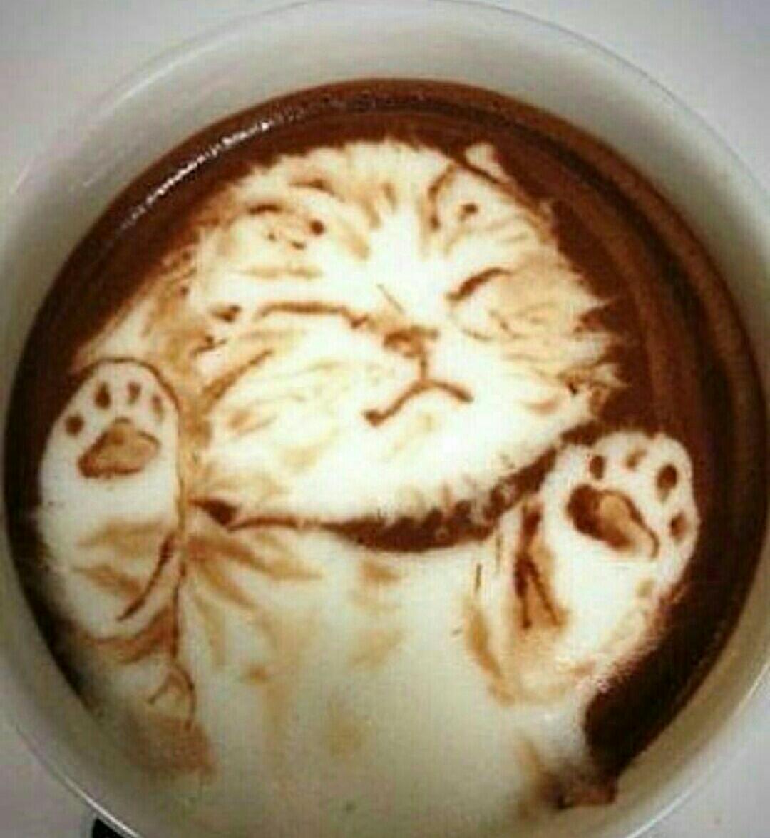 MidnightAlya's tweet photo. This will be lovely https://t.co/GmyP1RZSml